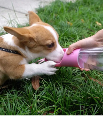 Portable Leak-Proof Dog Water Bottle and Bowl